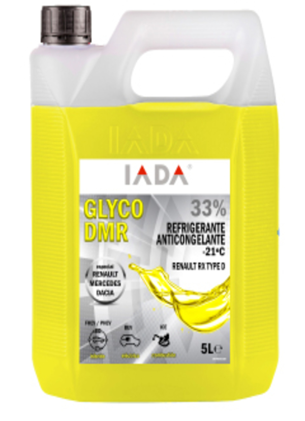 GLYCO-DMR-WEB (1) (1)