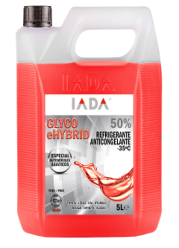 GLYCO-EHBRID-WEB